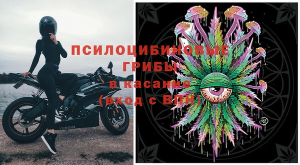твердый Алексин