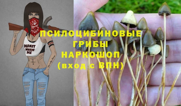 ALPHA PVP Алексеевка