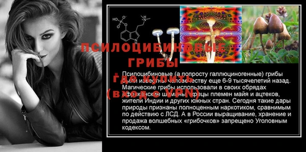 твердый Алексин