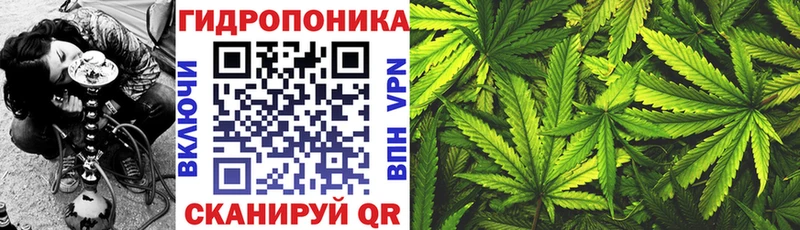 Бошки марихуана план  сколько стоит  Аткарск 